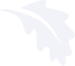 St John's Church of England Primary School, Sevenoaks logo