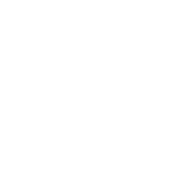 Newsome Junior Academy logo