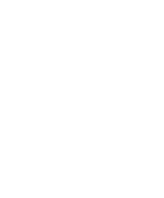 SGS Pegasus School logo