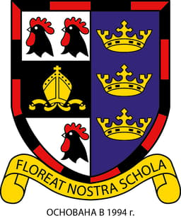 British International School Moscow (9) logo