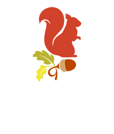 Hamsey Green Primary logo