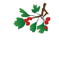 The Hawthorns Primary School logo
