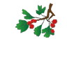 The Hawthorns Primary School logo