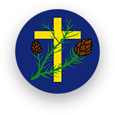 Christ Church CofE Primary School logo