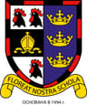 British International School Moscow (2) logo