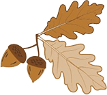 Twin Oaks Primary School logo