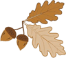 Twin Oaks Primary School logo