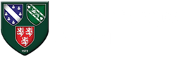 Netherthorpe School logo
