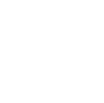 Orion Blenheim logo