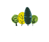 Liskeard Hillfort Primary School logo