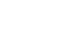The New Forest Church of England Primary School logo