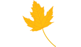 The Maplesden Noakes School logo