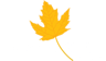 The Maplesden Noakes School logo