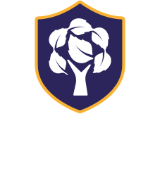Elm Academy logo