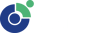 Cornerstone School logo