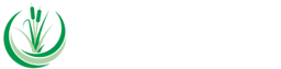 Rushy Meadow Primary Academy logo