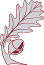 Shire Oak Academy logo