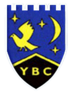 Ysgol Bryn Castell logo