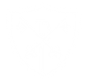 Torre Church of England Academy logo