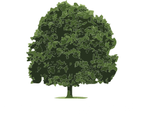 Plashet, City of London Academy logo