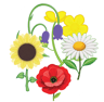Hindpool Nursery School logo