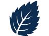 Elm Grove Primary School, Worthing logo