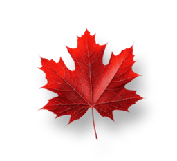Maple Primary School logo