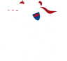 Chandlings Prep logo
