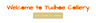 Tudhoe Colliery Primary School logo