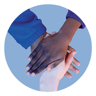 Whitehill Primary School logo