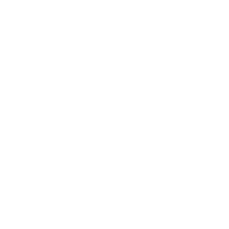 Lowedges Primary Academy logo