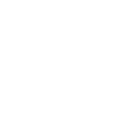 King Edward VI School logo