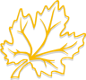Maplefields Academy logo