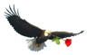 Red Rose School logo
