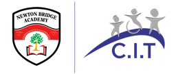 Newton Bridge Academy logo