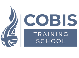 St George's British International School logo