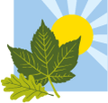 Rubery Nursery School logo