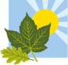 Rubery Nursery School logo