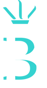 The Blue Coat School Basingstoke logo