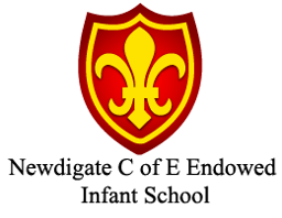 Newdigate CofE Endowed Aided Infant School logo