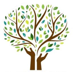 Cambridge Muslim Secondary School logo