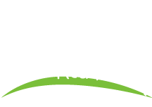 White Waltham CofE Academy logo