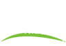 White Waltham CofE Academy logo
