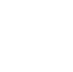 Fender Primary School logo