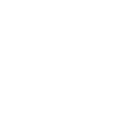 King David Primary School logo