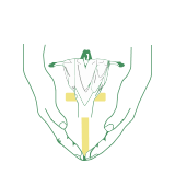Holy Cross Catholic Primary School, Harlow logo