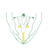 Holy Cross Catholic Primary School, Harlow logo