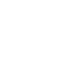 Chesterfield Primary School logo