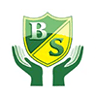 Bidborough Church of England Voluntary Controlled Primary School logo