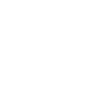 Hamp Academy logo